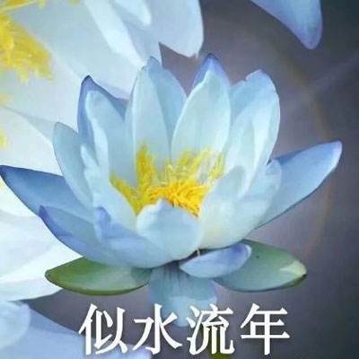 枪与魔法游戏下载